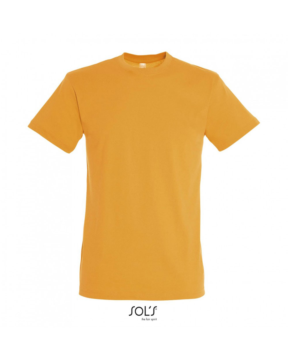 ΑΝΔΡΙΚΟ T-SHIRT SOL'S REGENT