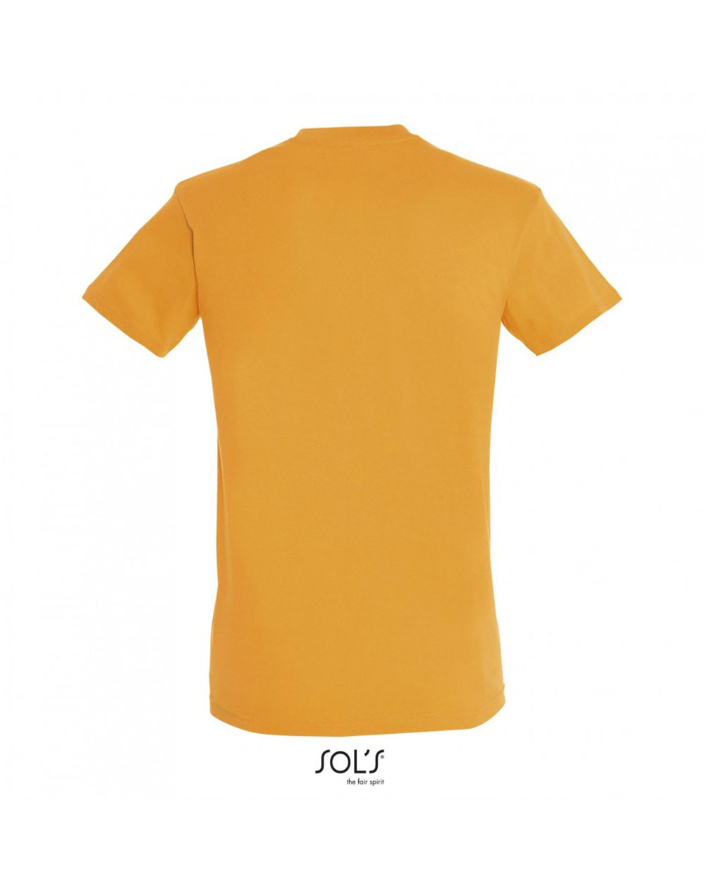 ΑΝΔΡΙΚΟ T-SHIRT SOL'S REGENT